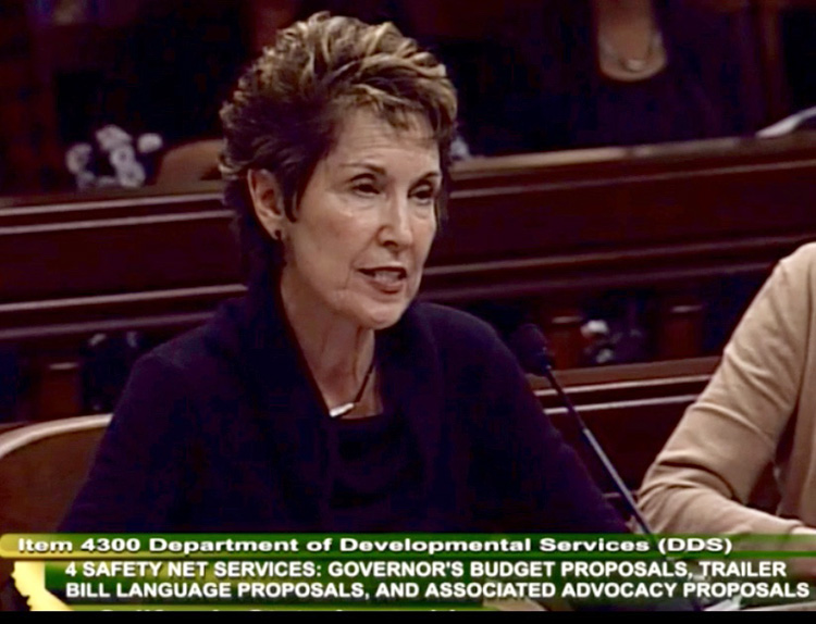 DVU board member Connie Lapin testifies at a legislative hearing. Text on image reads: Item 4300 Department of Developmental Services (DDS) 4 SAFETY NET SERVICES: GOVERNOR’S BUDGET PROPOSALS, TRAILER BILL LANGUAGE PROPOSALS, AND ASSOCIATED ADVOCACY PROPOSALS