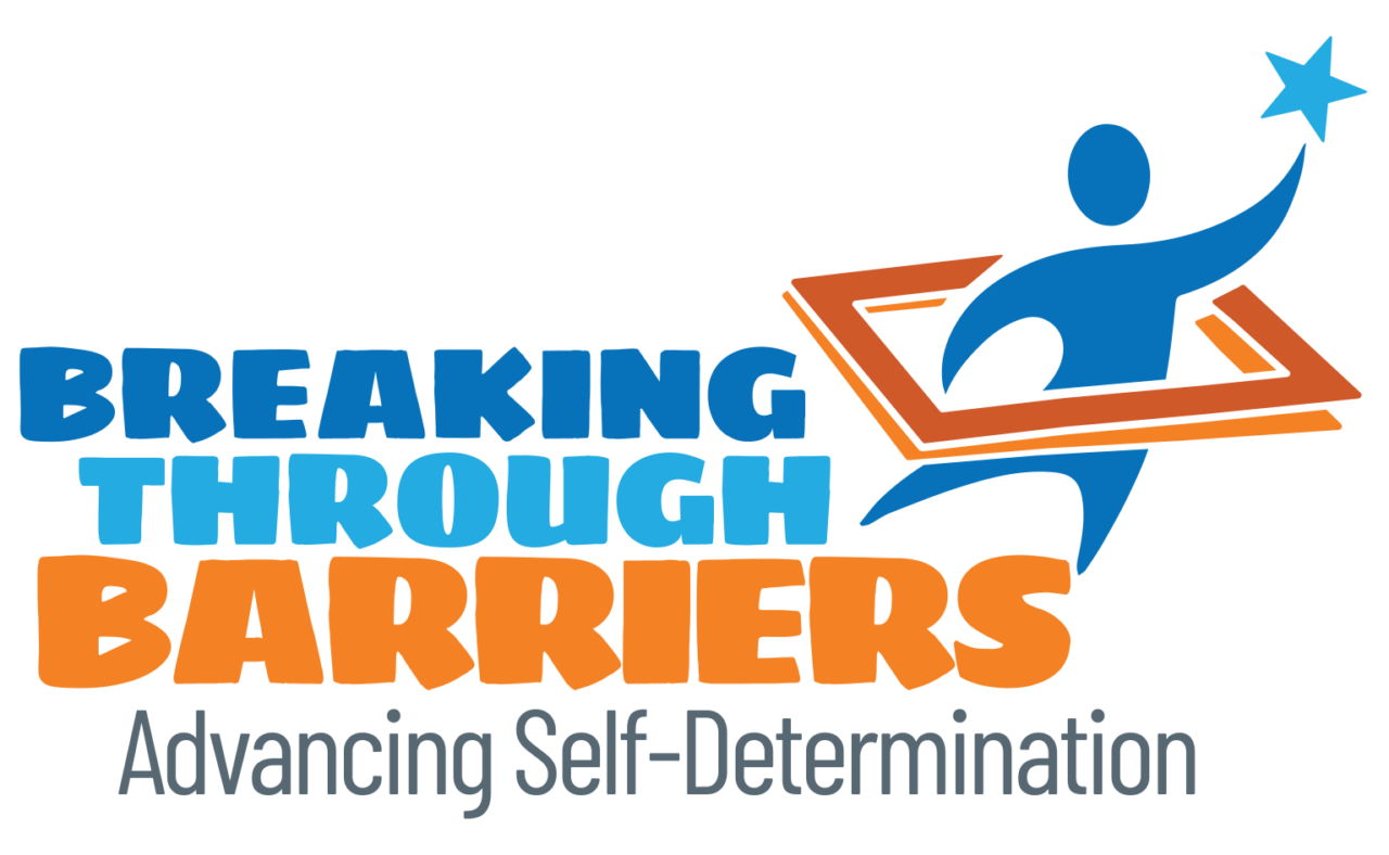 Breaking Through Barriers Disability Voices United